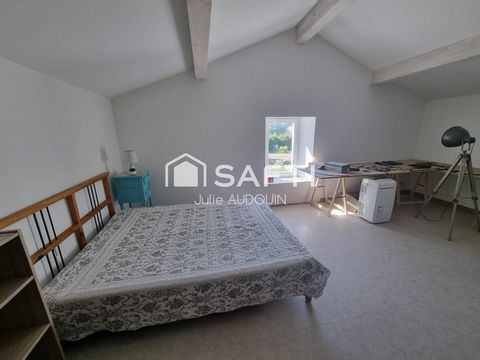 photo no. 14