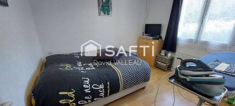 photo no. 11