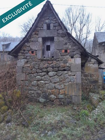 photo no. 9