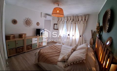 photo no. 12