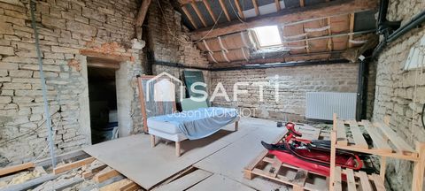 photo no. 10