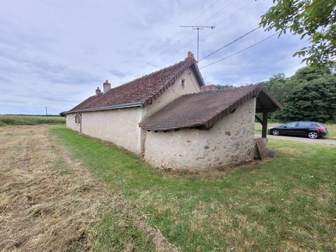 photo no. 6