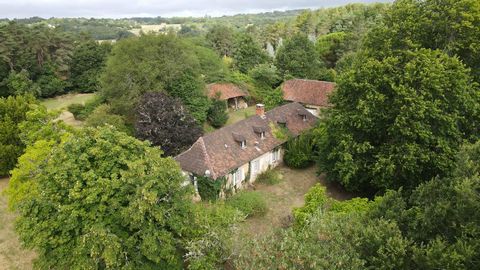 photo no. 2