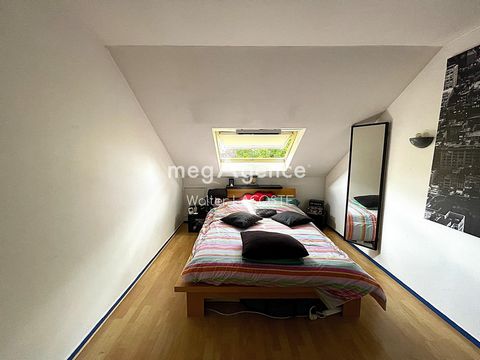 photo no. 9