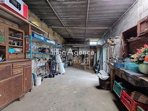 photo no. 10