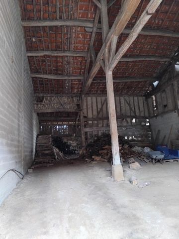 photo no. 6