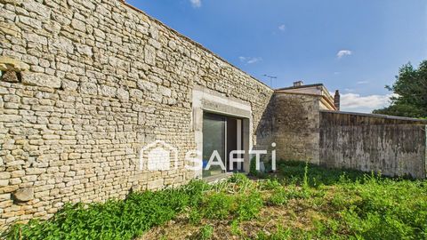 photo no. 13