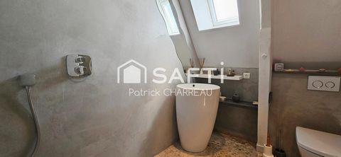 photo no. 12