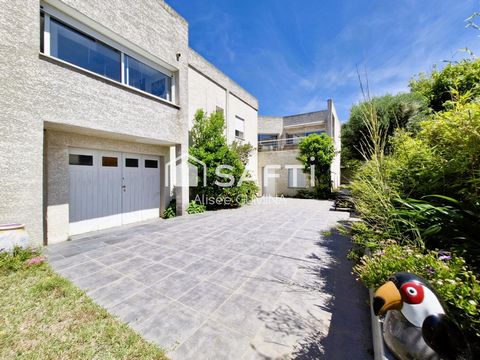 photo no. 10