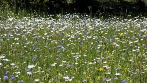 Terrain agricole dans la vallée de la Lère