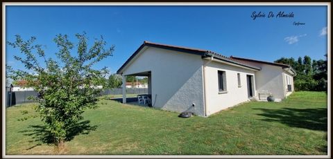 photo no. 2
