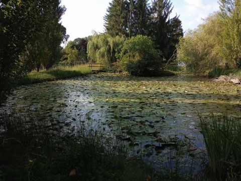 photo no. 11