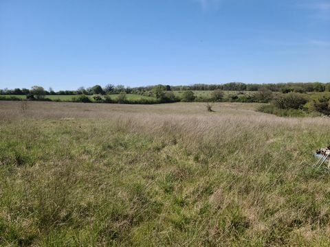 photo no. 3