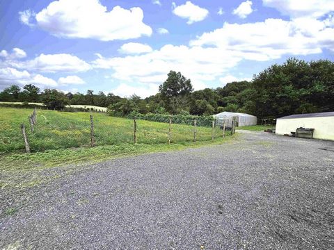 photo no. 14