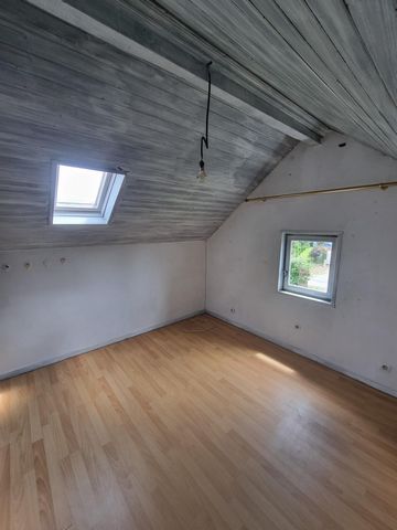 photo no. 15
