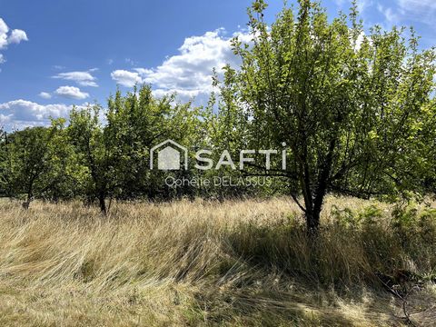 TERRAIN CONSTRUCTIBLE DE 3840 m2 À SAISIR_SAINT-CLÉMENT_19700