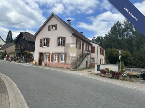 photo no. 10