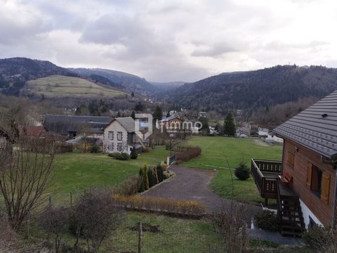 photo no. 22
