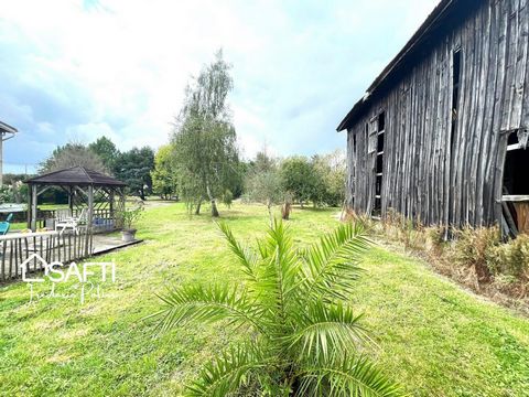 photo no. 16