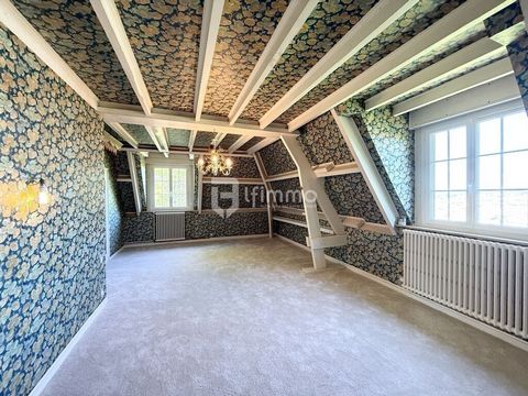 photo no. 6