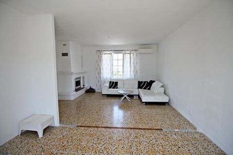 photo no. 12
