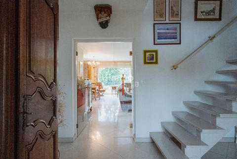 photo no. 14