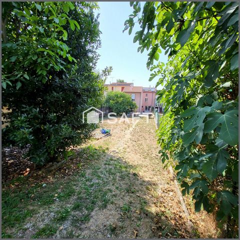 photo no. 8