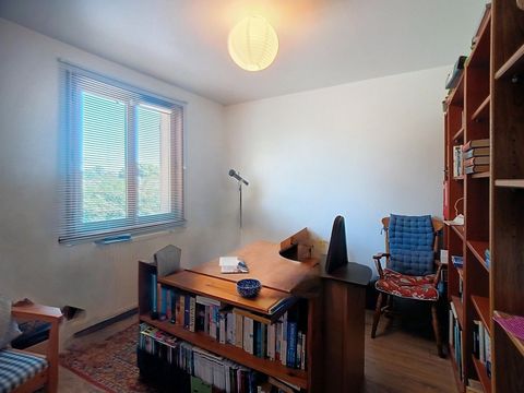 photo no. 9