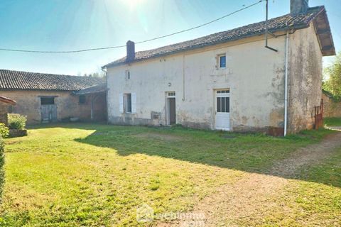 photo no. 4