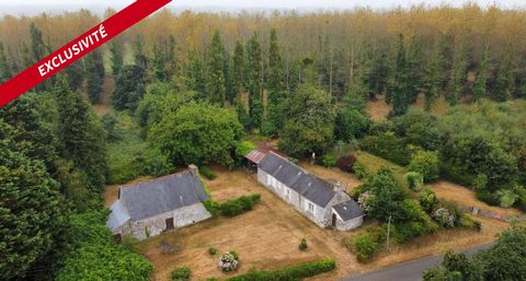 Maisons à rénover + une forêt