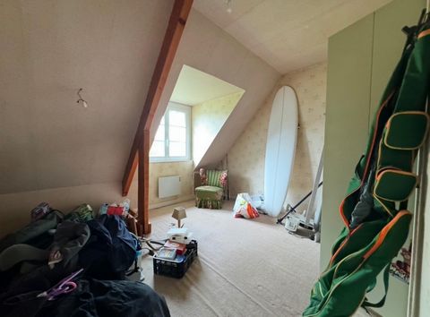 photo no. 11