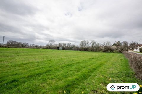 This building land is located in the town of Montvicq, in the Allier. It is a small village 20 km from Montluçon. It is one of those attractive rural villages, which are seeing their population increase. The exact area of the land for sale is 6,317 m...