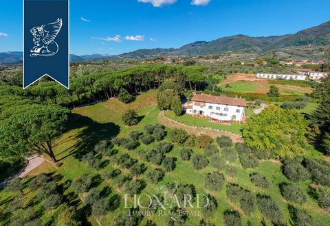This prestigious luxury villa is for sale near Capannori, just a few kilometres from the wonderful town of Lucca. The vast park surrounding the villa measures two hectares and is embellished with plants and trees, forestal areas, olive groves, a fabu...
