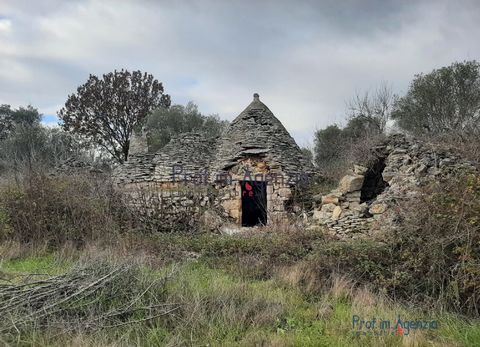 For sale an interesting complex of trulli for renovation in the countryside of Ceglie Messapica, located in a quiet and reserved area on splendid land cultivated with centuries-old olive trees. The property consists of three adjacent trulli, one with...