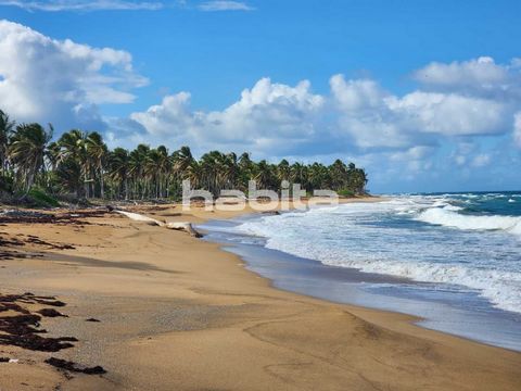 Get yourself the peace of mind necessary, connect to the nature, the breeze of the ocean and the soft gold sand of the Miches new golden area of the East of the Dominican republic, only 1 hour to Punta Cana. This land can handle a nice villa or appar...