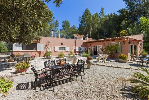 Klassisches mallorquinisches Landhaus mit großem Grundstück, renovierungsbedürftig, in einem der schönsten Dörfer im Inneren von Mallorca zu verkaufen. Das Anwesen besteht aus dem Haupthaus und einem unabhängigem Gästehaus mit einem Doppelschlafzimme...