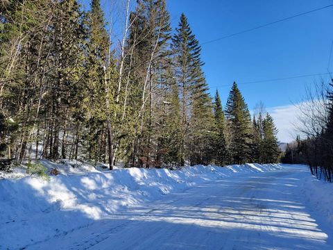 This beautiful and large wooded lot with mature trees is ideal and could be your private domain. It is located in front of a municipal street with electricity and cleared of snow by the municipality in the heart of the village of Lantier and a few mi...