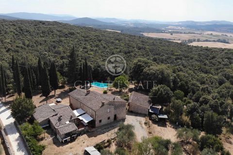 The main farmhouse of the property in question develops a gross living area of ​​approximately 265 sqm divided over two levels and more precisely: on the ground floor we find a beautiful living area with kitchen, a living room, a study, a bathroom, a...