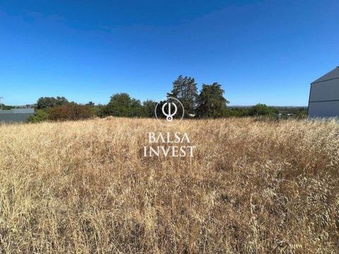 Land with a total area of 8,400 sqm located in Livramento, municipality of Tavira. It is in a privileged area between the EN125 and the Ria Formosa, and just 4km from Fuseta, 8km from Tavira and 23km from Faro Airport. The land has 1,973 m2 inserted ...