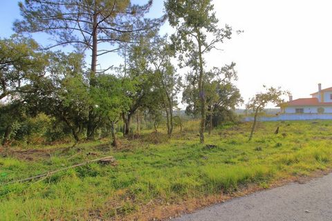 Located in Costa de Prata. Land consisting of two articles with a total area of ​​8814M2; one of the articles is crossed by a road; Inserted in the urban fabric designated as dispersed building area; Facing south/west; Fantastic views, five minutes f...