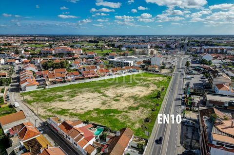 Identificação do imóvel: ZMPT562379 Unique opportunity to acquire urban land, located in Porto Alto, next to the EN10. The land has a total area of ​​12,135m2 for housing and commercial construction, with a project in the Chamber that can be maintain...