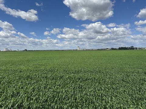 On the market for the first time is a prime piece of Richland County farmland with excellent Agricultural potential, located just North of Sidney, MT with easy access only 1 1/2 miles form Highway 200. This parcel consisting of 150 acres of crop grou...