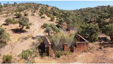 Ferme à Vale do Lobo de 82 500 m2, avec une maison en ruine et un réservoir, à 20 minutes de Lagos et à 20 km des principales plages du sud de l'Algarve et de la côte Vicentina. La propriété surplombe le calme des montagnes de l'Algarve, avec un accè...