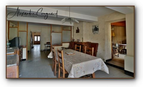 photo no. 2