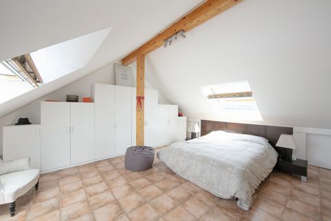 photo no. 12
