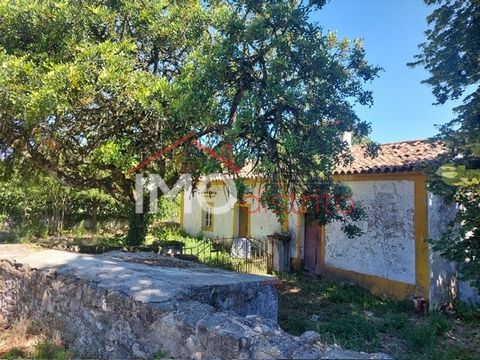 Azienda agricola situata nella parrocchia di Ribeira de Nisa, a 5 minuti dalla città di Portalegre, nel Parco Naturale della Serra de São Mamede. La fattoria dispone di una casa a un piano con 3 camere da letto e 96 metri quadrati di superficie lorda...