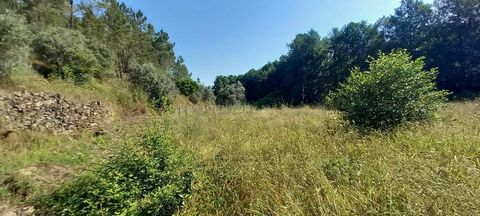 Rustic land with 7320m2 located in the village of Sobrainho da Ribeira / Sarzedas. This land is made up of bush, olive groves, fruit trees and pine forest. It faces a river that has water all year round. There's a well It has good access on dirt road...
