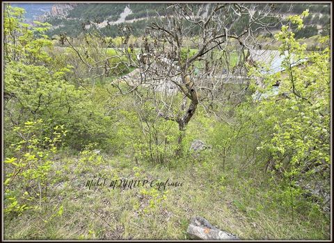 photo no. 2