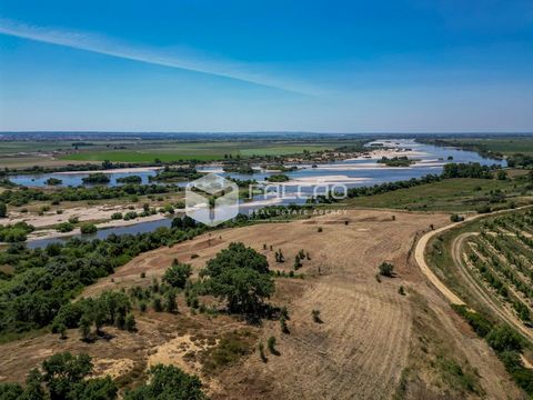 Terreno con una vista espectacular y única sobre el río Tajo que ofrece una oportunidad única para construir una impresionante casa en plena naturaleza. Con 4,6 hectáreas, tendrá espacio suficiente para crear una casa unifamiliar de hasta 300 m2 de s...