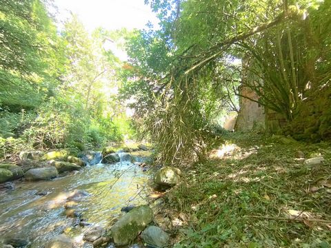 photo no. 1